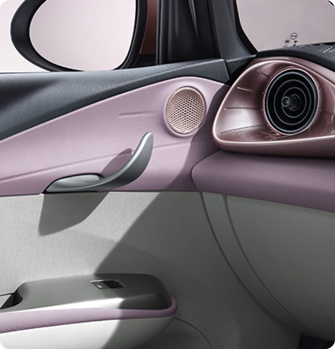 BYD Dolphin-design