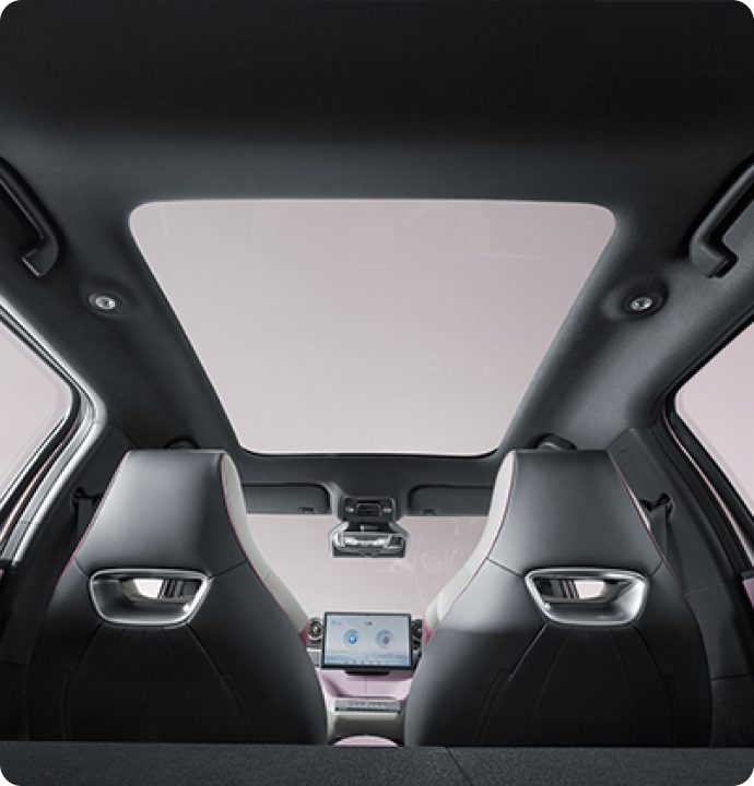 BYD Dolphin-glass-roof